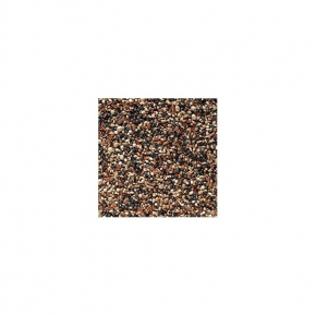 Bird Condition Seed 625g packed by Pets Pantry Johnston and Jeff